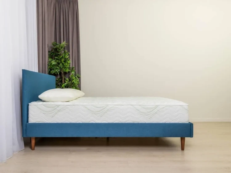 Матрас ProSon Dream Green Comfort M 80 х 190 см