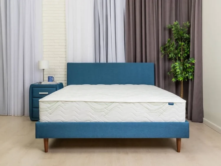 Матрас ProSon Dream Green Comfort M 80 х 190 см